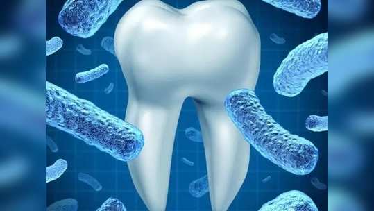 <strong>Gums Pain :</strong> ऐन लॉकडाऊनमध्ये दात व हिरड्यांचं दुखणं वाढलंय? मग ट्राय करा हे घरगुती उपाय!