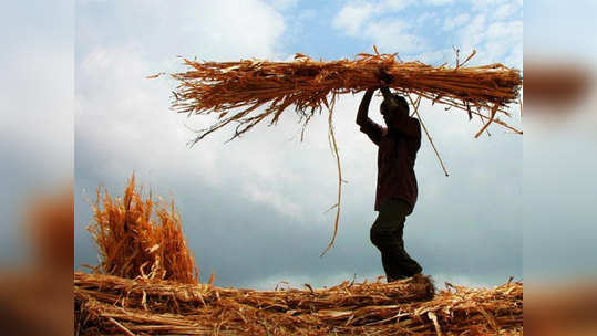 Farm Loan Waiver शेतकरी कर्जमाफीत घुसले बोगस लाभार्थी; सरकार 'अशी' घडवणार अद्दल