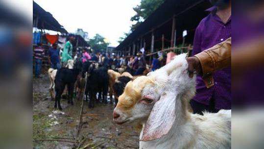 मालेगाव पोलिसांचे लक्ष आता बकरी ईदकडे