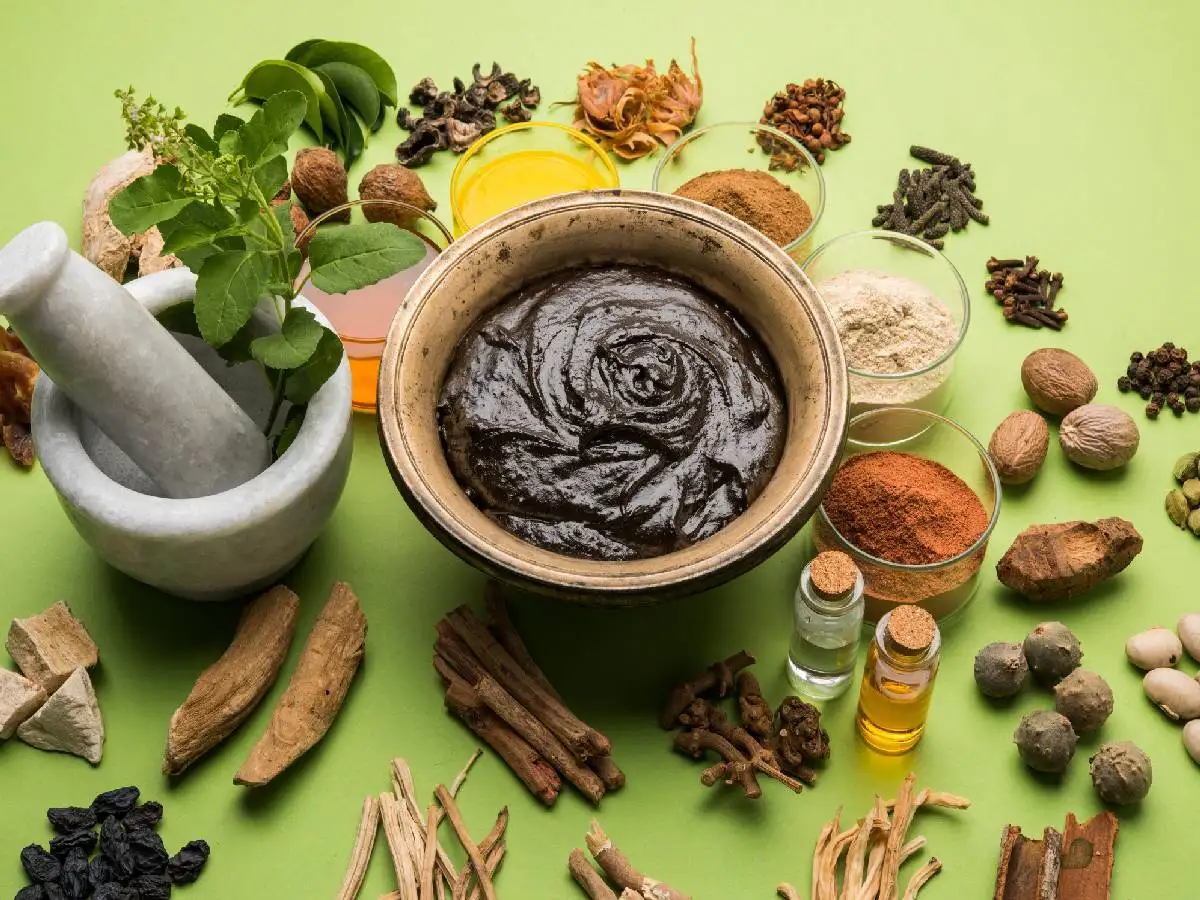 sugar free chyawanprash: Sugar Free Chyawanprash : बीमारियों से रहना है दूर  तो रोजाना खाएं ये Chayawanprash - eat chyawanprash to boost immunity and  stay healthy buy online theses sugar free chyawanprash |