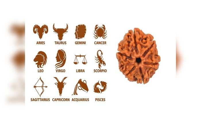 Rudraksha according to rashi तुमची रास कोणती? 'हे' रुद्राक्ष धारण करणे ठरेल अत्यंत लाभदायक; वाचा