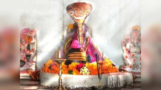 Nag Panchami 2020 Kaal Sarp Dosh Upay नागपंचमी: कालसर्प दोषाची १० लक्षणे आणि त्यावरील १० उपाय; वाचा