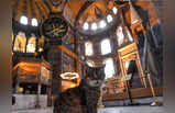 तुर्की: म्यूजियम से मस्जिद में बदली हागिया सोफिया तो इसकी स्टार-बिल्ली का क्या होगा?