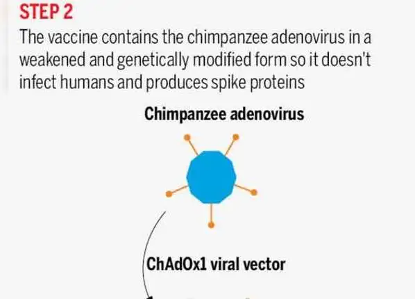 ऐसे करता है काम
