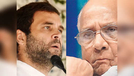 sharad pawar : मोदींवर टीका करणं सोडा; काँग्रेसवर लक्ष द्या; पवारांनी राहुल गांधींचे कान टोचले!