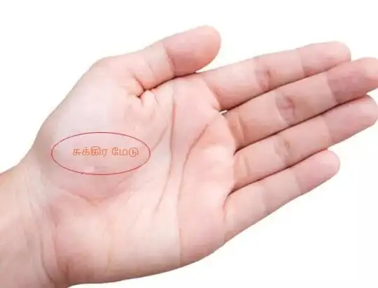 Palmistry About Sex, உங்கள் உள்ளங்கையில் ...