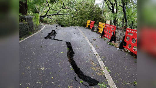 mumbai rain : पावसाचा फटका, मुंबईत पेडररोडवर ५० झाडे उन्मळून पडली; उड्डाणपूल बंद