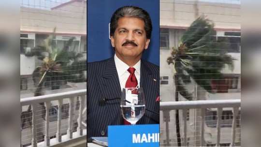 anand mahindra: हे निसर्गाचं तांडव नृत्य तर नाही ना? आनंद महिंद्रांनी शेअर केला मुंबईतील पावसाचा व्हिडिओ