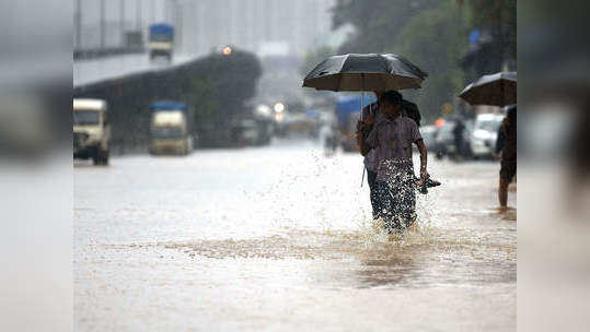 Leptospirosis: करोनाचं संकट असताना आता मुंबईकरांवर या आजाराचं सावट; पालिकेनं केलं सावध