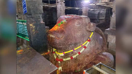 Yaganti Temple History in Marathi 'या' शिवमंदिरातील नंदीचा आकार दररोज वाढतो? वाचा, यामागील रहस्य