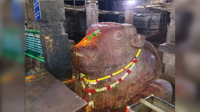 Yaganti Temple History in Marathi 'या' शिवमंदिरातील नंदीचा आकार दररोज वाढतो? वाचा, यामागील रहस्य