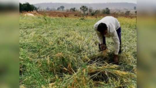 पीककर्ज वितरणासाठी भाजपचे ठिय्या आंदोलन