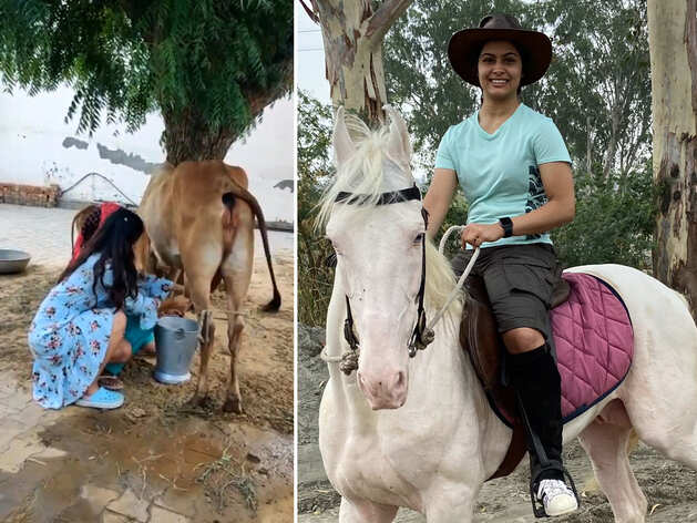 हरियाणा की छोरी मनु भाकर का देसी अंदाज, गाय का दूध दुहने का वीडियो हो रहा वायरल हरियाणा की छोरी मनु भाकर का देसी अंदाज, गाय का दूध दुहने का वीडियो हो रहा वायरल