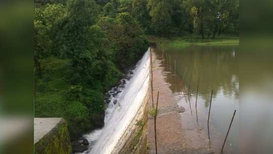 जव्हारमध्ये ३३७ मिमी पावसाची नोंद