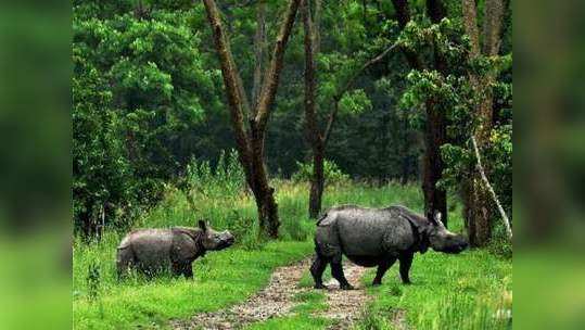 भिमाशंकर 'इको सेन्सेटिव्ह झोन'ला विरोध