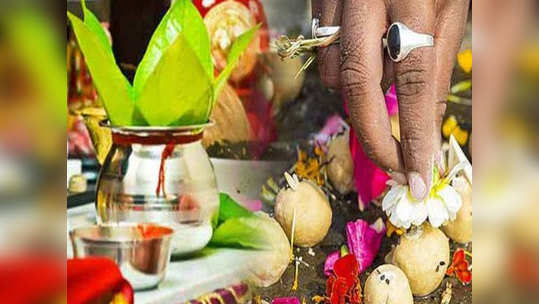 Pitra Dosh Signs and Remedies जेवणात वारंवार केस येण्यामागे 'हे' संकेत? वाचा, पितृपक्षातील उपाय