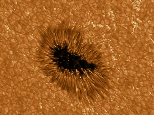 Sun New Stunning Pictures: Show Our Star As Popcorn Like Magnetic Field  Structure: देखें: सूरज की सबसे साफ तस्‍वीरें, बेहद डरावना आ रहा नजर