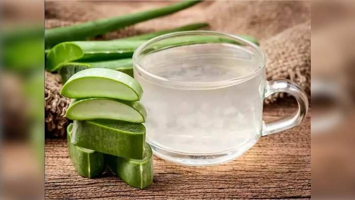 Aloe Vera Benefits कोरफड जेल रात्रभर चेहऱ्यावर लावून ठेवल्यास काय होते? वाचा माहिती