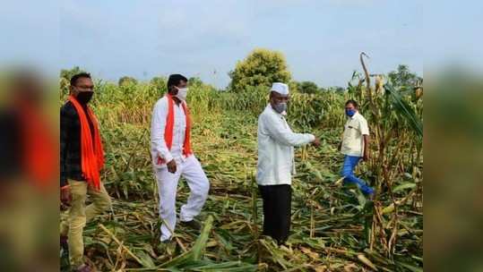 पिकांच्या नुकसानीची राज्यमंत्र्यांकडून पाहणी