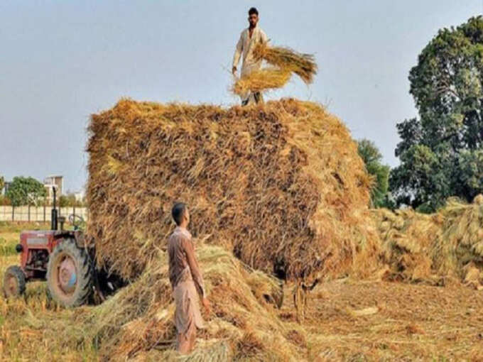 प्रतीकात्मक तस्वीर प्रतीकात्मक तस्वीर