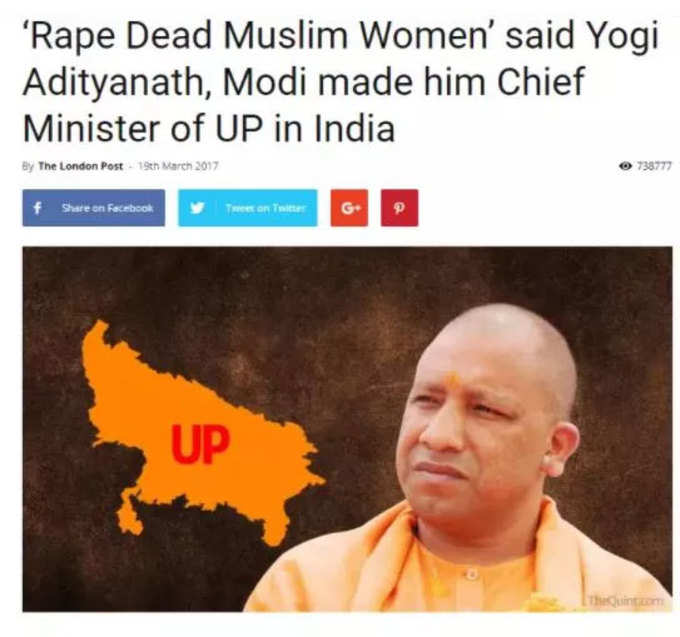 yogi