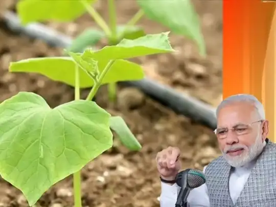 Modi-Agri-Mann