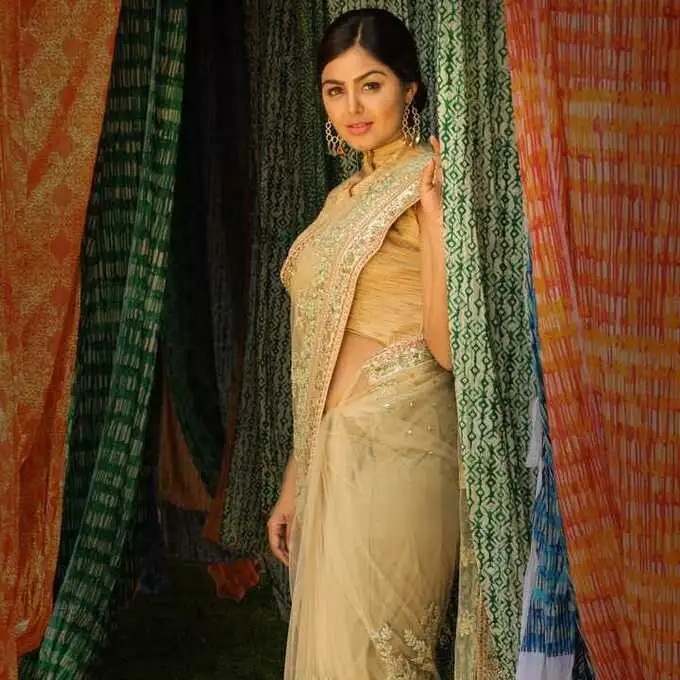 ఈ గుజరాతీ భామ ఒంపుసొంపుల సెగలు... మోనాల్ గజ్జర్ హాట్ పిక్స్..