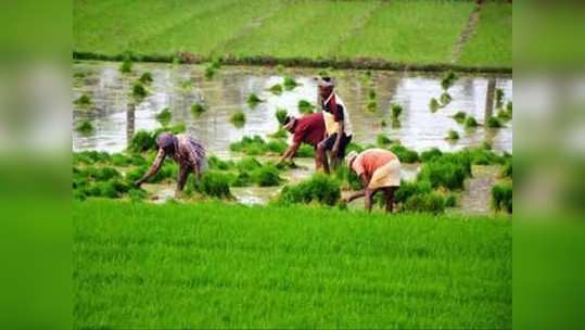 कृषी पंपधारकांना सरकारचा दिलासा