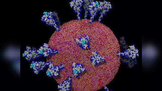 Coronavirus 'असा' दिसतो करोनाचा विषाणू; लस विकसित होण्यास मदत होणार!