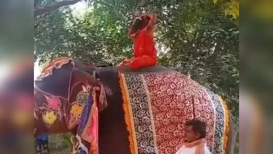 रामदेव बाबा हत्तीवरून पडले, सोशल मीडियावर रंगली चर्चा