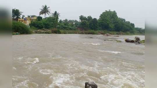 परतीच्या पावसानं शेतकरी हवालदिल; सांगली, कोल्हापूरात संततधार