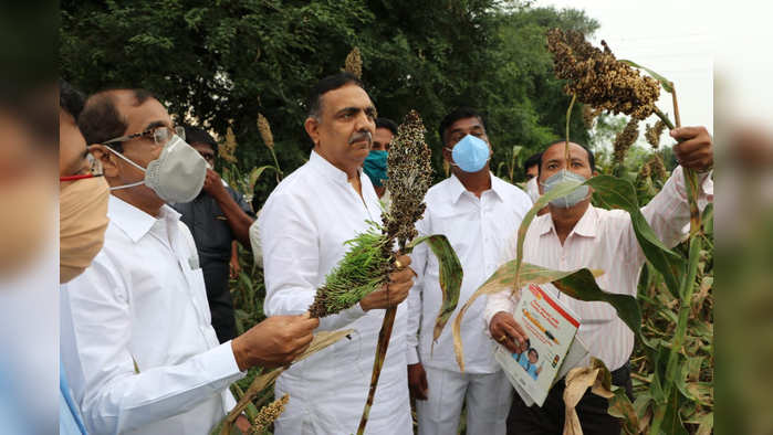 पावसाने सांगली जिल्ह्यातील १२३ गावांना फटका, ९ जणांचा मृत्यू