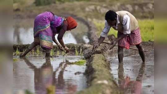 जखमेवर मीठ चोळण्यासाठी पाहणी दौरे करू नका; शेतकऱ्यांची नाराजी