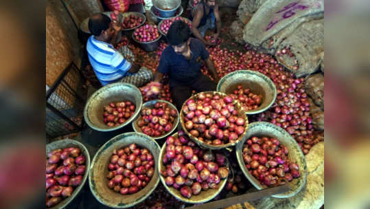 कांदा रडवणार; दिवसागणिक वाढतोय भाव