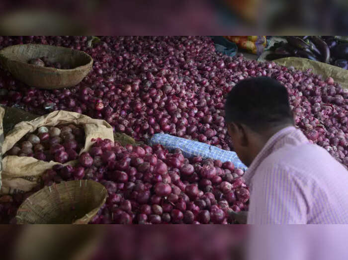 onion.photo