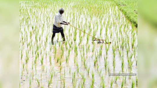 प्रधानमंत्री किसान सन्मान योजनेवर डल्ला; आणखी धक्कादायक माहिती उघड