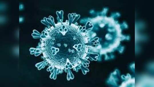 coronavirus - गंभीर रुग्णांच्या संख्येत झाली घट