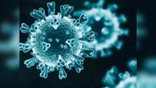 coronavirus - गंभीर रुग्णांची संख्या एक हजारांच्या आत