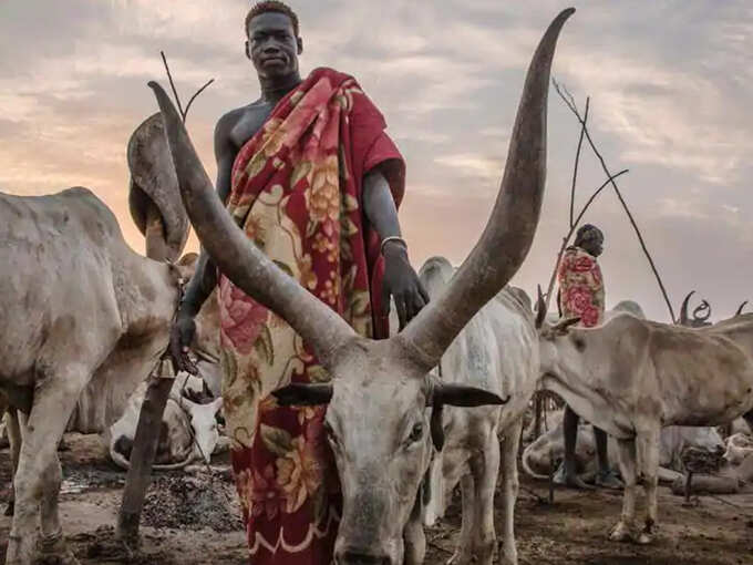 Dinka Dinka