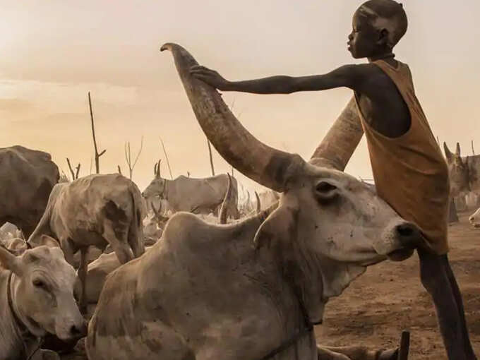 Dinka Dinka