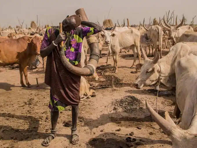 Dinka Dinka