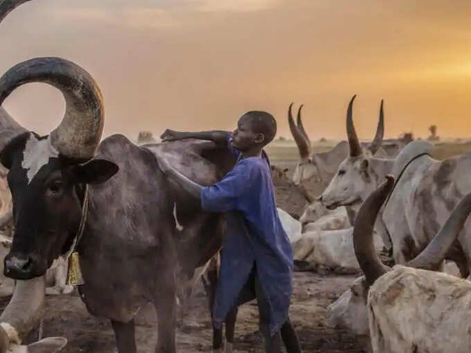 Dinka Dinka