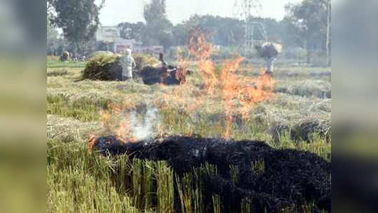 धोक्याची घंटा! ग्रामीण भारतही शहरांइतकाच प्रदूषित