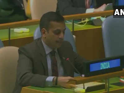 UN में भारत ने फिर लगाई पाकिस्तान को लताड़, कहा- शांति संस्कृति के प्रस्ताव का पड़ोसी मुल्क पहले ही कर चुका है उल्लंघन 