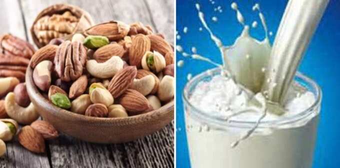 alternative milk for children: வளர்ற பிள்ளை பால் குடிக்க அடம்பிடிக்கிறாங்களா, பாலுக்கு மாற்றா இதை கொடுங்க, சத்தும் கூடுதலா கிடைக்கும்! - healthy beverage for kids instead of milk 5 samayam tamil Tamil News Spot