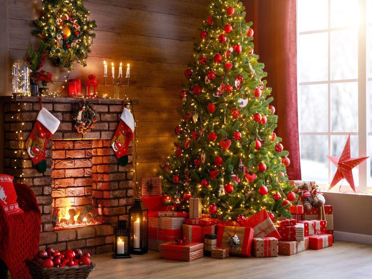 Christmas Tree On Amazon Christmas Tree On Amazon इस Christmas Tree क लग न पर स ट द ग डबल ग फ ट जल द स कर ऑर डर Buy These Christmas Tree On Amazon For 25th