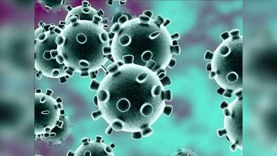 Coronavirus  करोनाबाधितांमधील रोगप्रतिकारशक्तींची क्षमता भिन्न!