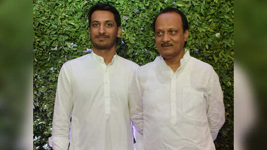 Ajit Pawar: पंढरपुरातून पार्थ यांना विधानसभेचं तिकीट?; अजित पवार म्हणाले...