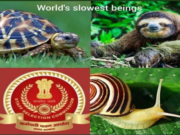 Slowest !