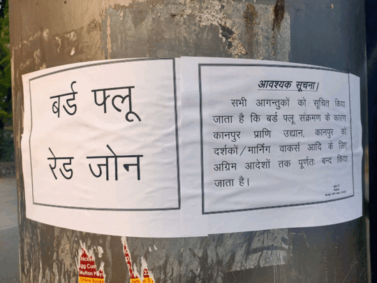kanpur news: कानपुर में बर्ड फ्लूः पक्षियों की मौत के बाद बंद किया गया चिड़ियाघर, लगाया गया नोटिस - kanpur zoo close due to bird flu after many birds die | Navbharat Times
